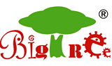 BIGG Stock, Big Tree Group Inc.