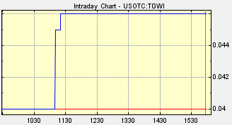 TGWI Stock, Tenguy World International